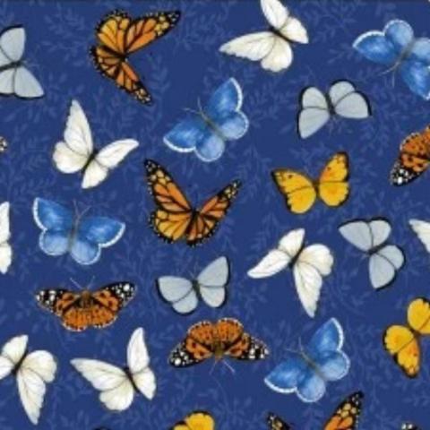 Wildlife, Birds & Insects