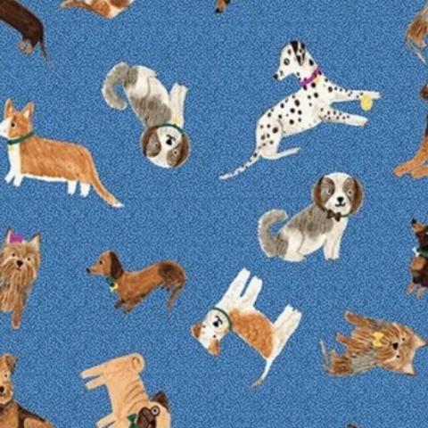 Cats & Dogs