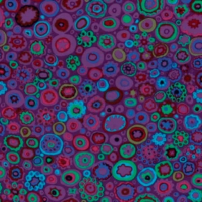 Kaffe Fassett Collective