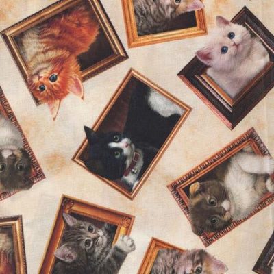 Cats & Dogs