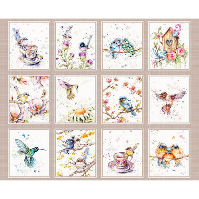 Wildlife, Birds & Insects