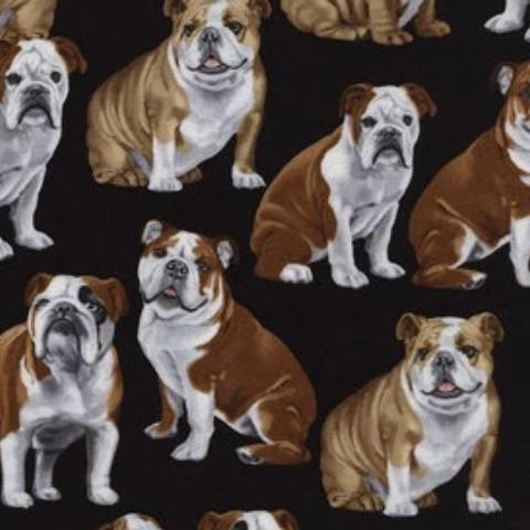 Cats & Dogs