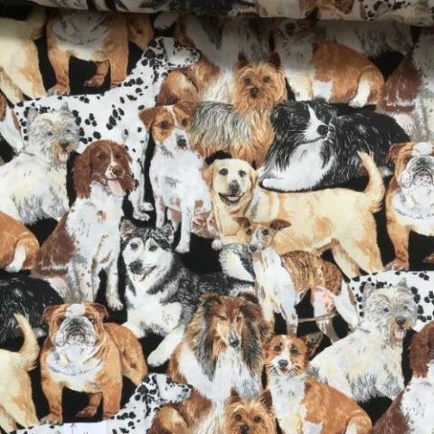 Cats & Dogs