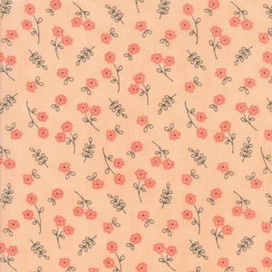 Blush 17974-13