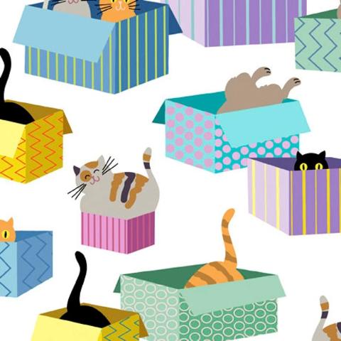 Cats & Dogs
