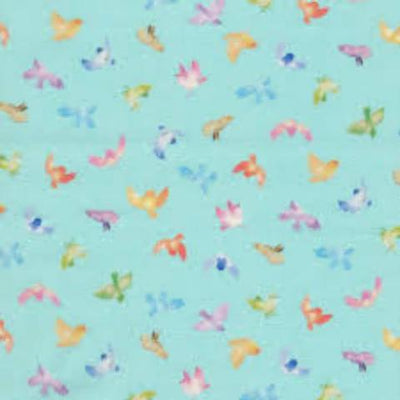 Wildlife, Birds & Insects