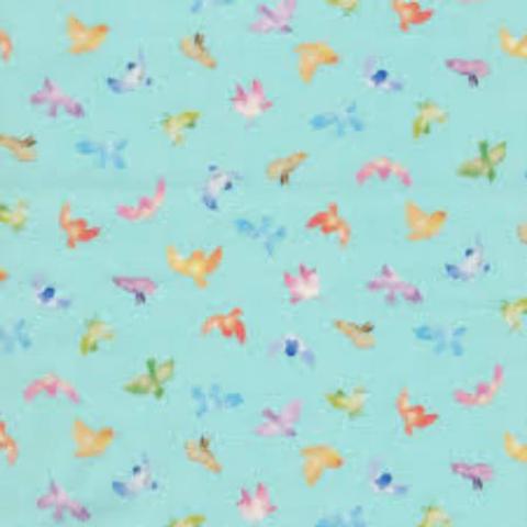 Wildlife, Birds & Insects