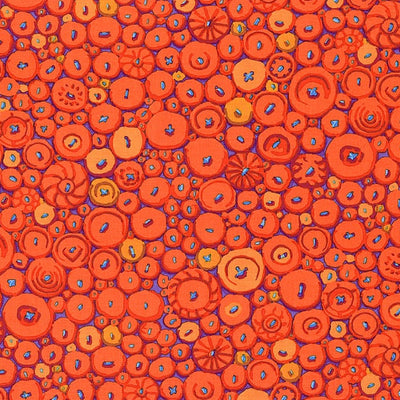 Kaffe Fassett Collective