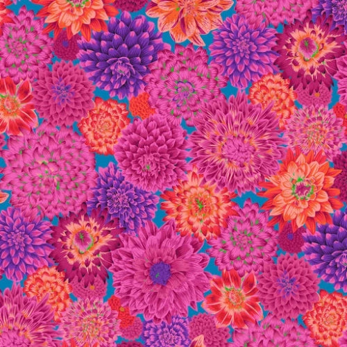 Kaffe Fassett Collective