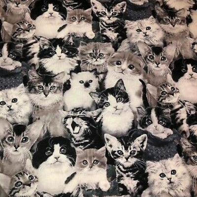 Cats & Dogs