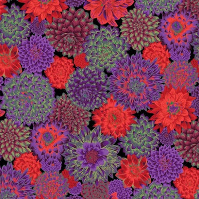 Kaffe Fassett Collective