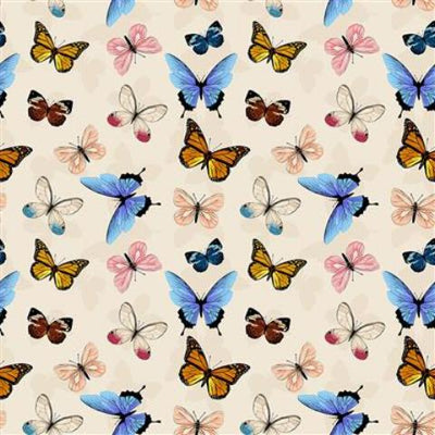 Wildlife, Birds & Insects
